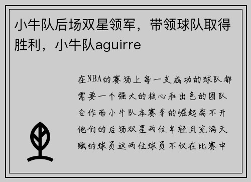 小牛队后场双星领军，带领球队取得胜利，小牛队aguirre