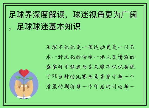 足球界深度解读，球迷视角更为广阔，足球球迷基本知识